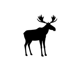Basic Side View of a Moose Standing Black Silhouette Vector Clip Art Illustration