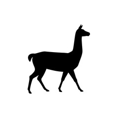Obraz premium Basic Side View of a Llama Walking Black Silhouette Vector Clip Art Illustration