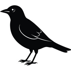 Obraz premium Indigo Bird Silhouette Vector Illustration