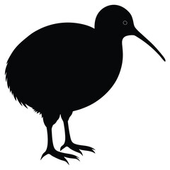 Kiwi Silhouette Vector Illustration