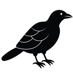 Mango Bird Silhouette Vector Illustration