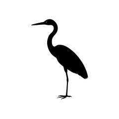 Naklejka premium Elegant Side View of a Heron Standing Black Silhouette Vector Clip Art Illustration