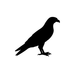 Obraz premium Powerful Side View of a Hawk Diving Black Silhouette Vector Clip Art Illustration