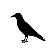 Obraz premium Black Silhouette Of a Side View Crow Cawing Loudly on Branch vector illustration