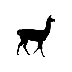 Fototapeta premium Black Silhouette Of a Side View Cougar Stalking its Prey vector illustration