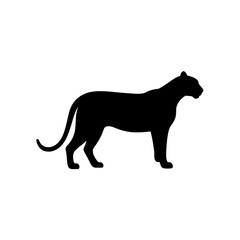 Black Silhouette Of a Side View Cougar on White Background vector illustration
