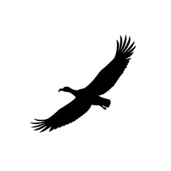 Fototapeta premium Black Silhouette Of a Side View Condor Gliding Silently vector illustration
