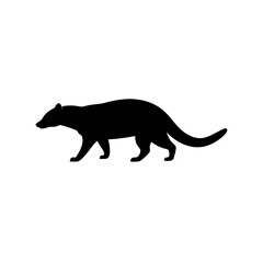 Fototapeta premium Black Silhouette Of a Side View Civet Walking Calmly vector illustration