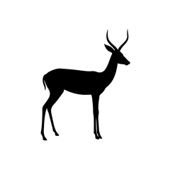 Obraz premium Black Silhouette Of a Springbok Jumping on White Background vector illustration
