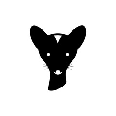 Fototapeta premium Beautiful Genet Head Black Silhouette Modern Shape Design vector illustration background
