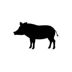 Fototapeta premium Superb Boar Black Silhouette Digital Artwork Print vector illustration background