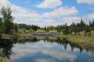 reflection of trees in lake