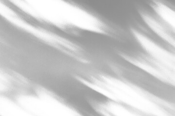 Abstract natural tree branch leaves shadow on white wall background