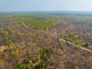 Lush green trees in Buon Don district, Dak Lak province showcase a contrast to the surrounding arid land during midday