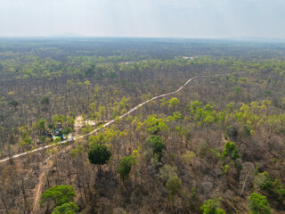 Landscape of Buon Don district in Dak Lak province, Vietnam, showcasing a blend of greenery and dry foliage in the evolving ecosystem