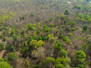 Vibrant greenery amid dry patches in Buon Don district, Dak Lak province, Vietnam during the changing seasons