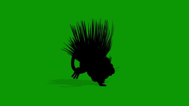 Black Cape Porcupine  Silhouette Running Back Camera Green Screen Animation