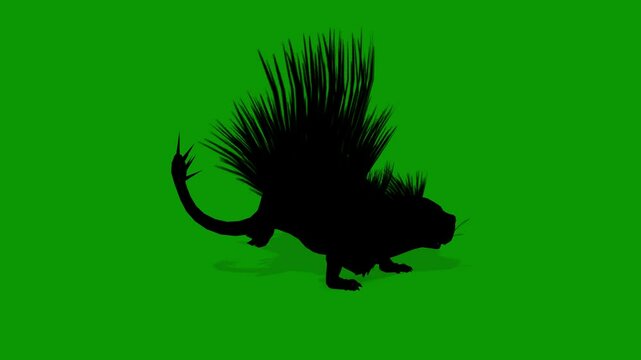 Black Cape Porcupine  Silhouette Running Right Camera Green Screen Animation