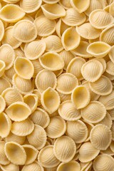 raw pasta orecchiette background