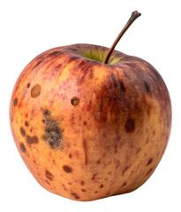 Bad apple isolated on white background.