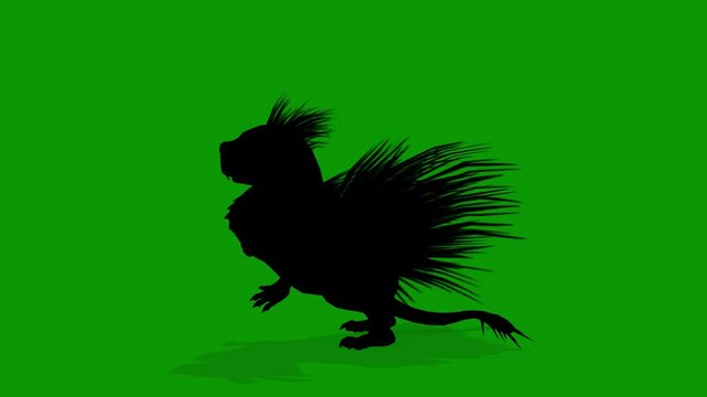 Cape Porcupine  Silhouette Attacking Scene Green Screen Animation