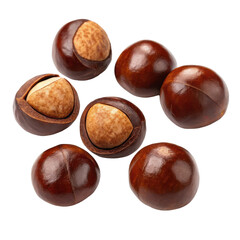 Obraz premium whole cola nuts png cola nuts png fresh nuts png isolated on white background png transparent background image