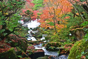 由志園　紅葉　島根　秋