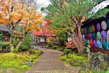 とっとり花回廊　鳥取