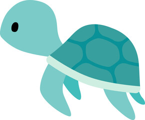 sealife, sea turtle