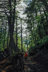 Hiking in the forest