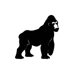 Obraz premium Gorilla silhouette, vector silhouette of an animal on a white background