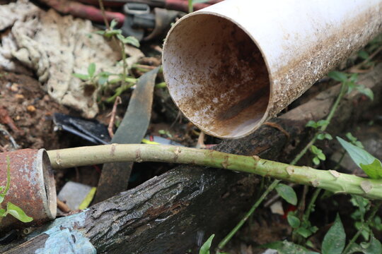 axe and firewood