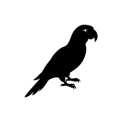 Parrot silhouette, vector silhouette of an animal on a white background