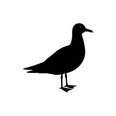 Seagull silhouette, vector silhouette of an animal on a white background