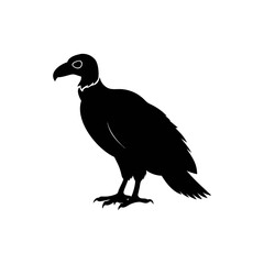 Obraz premium Vulture silhouette, vector silhouette of an animal on a white background