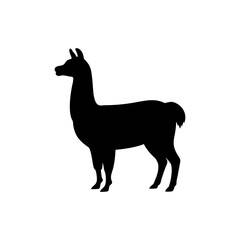 Llama silhouette, vector silhouette of an animal on a white background