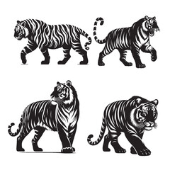 Walking Tiger Silhouette Vector | Wild Animal Illustration Isolated on White Background