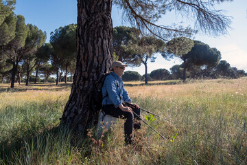 Man Resting Under Tree in a Peaceful Meadow on a Sunny Day