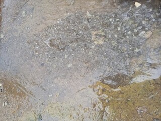 Abstract Wet Ground Surface with Rain Ripples