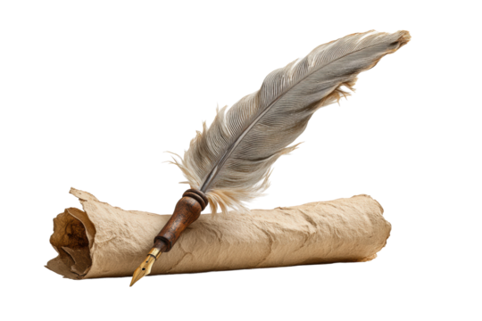 PNG Vintage feather quill and ancient scroll on display
