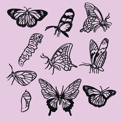 Set of hand-drawn butterfly illustrations in line art style. Delicate, decorative, and versatile design.