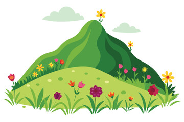 Hill with wildflowers