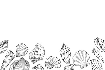 Frame with seashells with copy space for design or message.  Hand drawn
