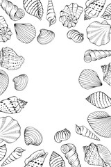 Frame with seashells. Hand drawn vector illustration.