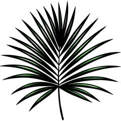 Fototapeta premium palm leaf silhouette