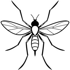 black spider vector illustration