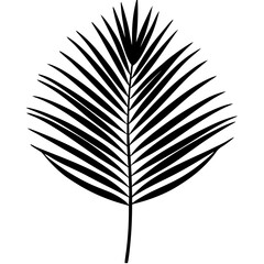 feather vector illustration
