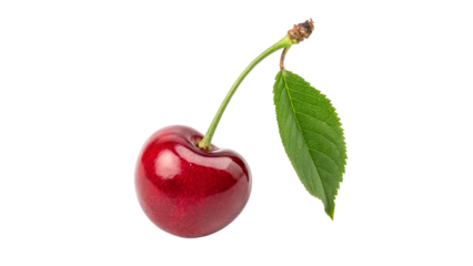 A vibrant red  sweet cherry with green leaf isolated on transparent background