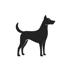 Elegant Silhouette of a Dog