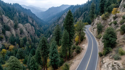 Winding mountain road surrounded by tall pine trees, rocky cliffs, and misty distant hills